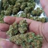 Buy Blue Dream Online Europe | Order Blue Dream Online France| Blue Dream For Sale Online Bulgaria With 100% Discreet Delivery