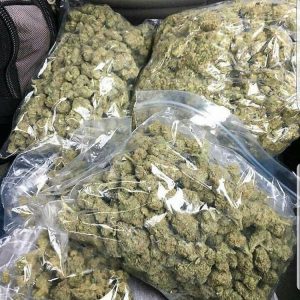 Buy Purple Haze Online Sweden | Order Purple Haze Online Europe | Purple Haze For Sale Online Germany With Discreet And Fast Delivery
