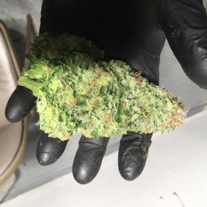 Buy Tangie Kush online Finland | Order Tangie Kush online Europe | Tangie Kush For Sale online Bulgaria With Fast and Discreet Delivery