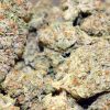 Buy Blackberry Kush online Greece | Order Blackberry Kush online Greece | Blackberry Kush For Sale online Greece With Discreet Delivery Guarantee