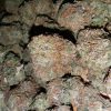 Buy Afghan Kush online Europe | Order Afghan Kush online France | Afghan Kush For Sale online Poland With No Added Fee While On Delivery To Your Location