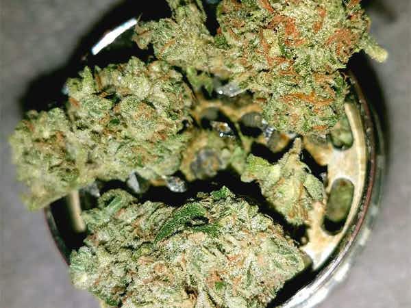 Buy Ghost Strain Haze Online Italy | Order Ghost Strain Haze Online Belarus | Ghost Strain Haze For Sale Online Iceland With Discreet Delivery Guarantee