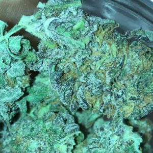 Buy Granddaddy Purple Online Europe | Order Granddaddy Purple Online Europe | Granddaddy Purple For Sale Online Europe With Discreet Delivery