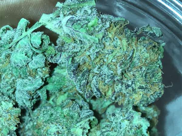 Buy Granddaddy Purple Online Europe | Order Granddaddy Purple Online France | Granddaddy Purple For Sale Online Germany With Discreet Delivery