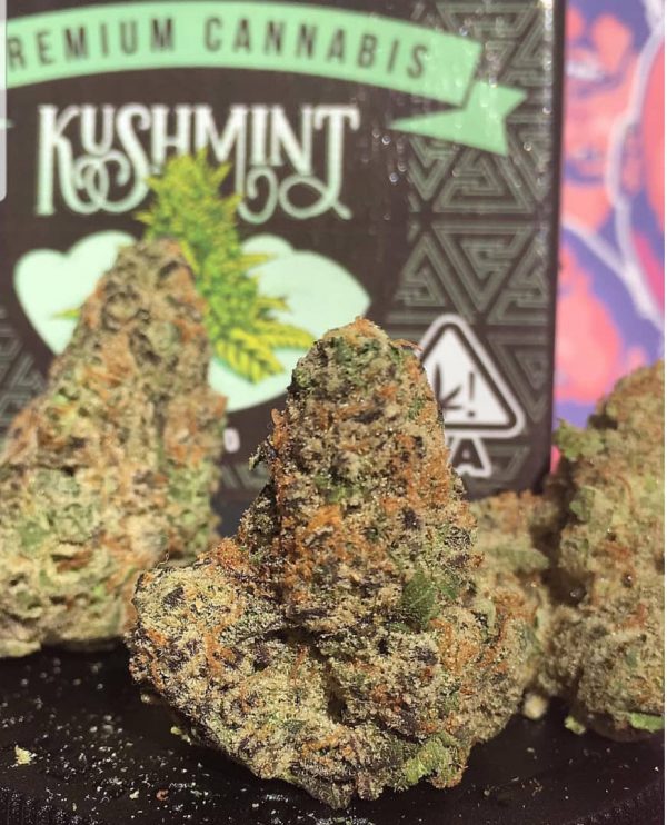 Buy Kush Mint online in Canterbury | order kush mint online in England and pay no extra fee while on discreet delivery with tracking to your door step