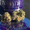 Buy Blueberry kush online Scotland | Order Blueberry kush online Scotland | Blueberry kush For Sale online Scotland With No Added Fee While On Delivery