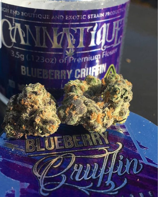 Buy Blueberry kush online Scotland | Order Blueberry kush online Scotland | Blueberry kush For Sale online Scotland With No Added Fee While On Delivery