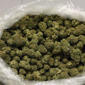 Buy Amnesia Haze Online Germany | Order Amnesia Haze Online France | Amnesia Haze For Sale Online Hungary With 100% Discreet Delivery Guarantee