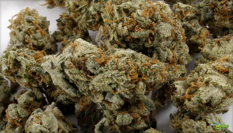 Buy Amnesia Haze Online Germany | Order Amnesia Haze Online Germany | Amnesia Haze For Sale Online Germany With Fast And Discreet Delivery To Your Door