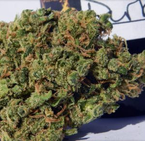 Buy Durban Poison Online Europe | Order Durban Poison Online Europe | Durban Poison For Sale Online Europe With 100% Discreet Delivery Guarantee