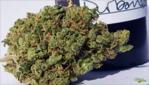 Buy Durban Poison Online Europe | Order Durban Poison Online Hungary | Durban Poison For Sale Online Germany With 100% Discreet Delivery Guarantee