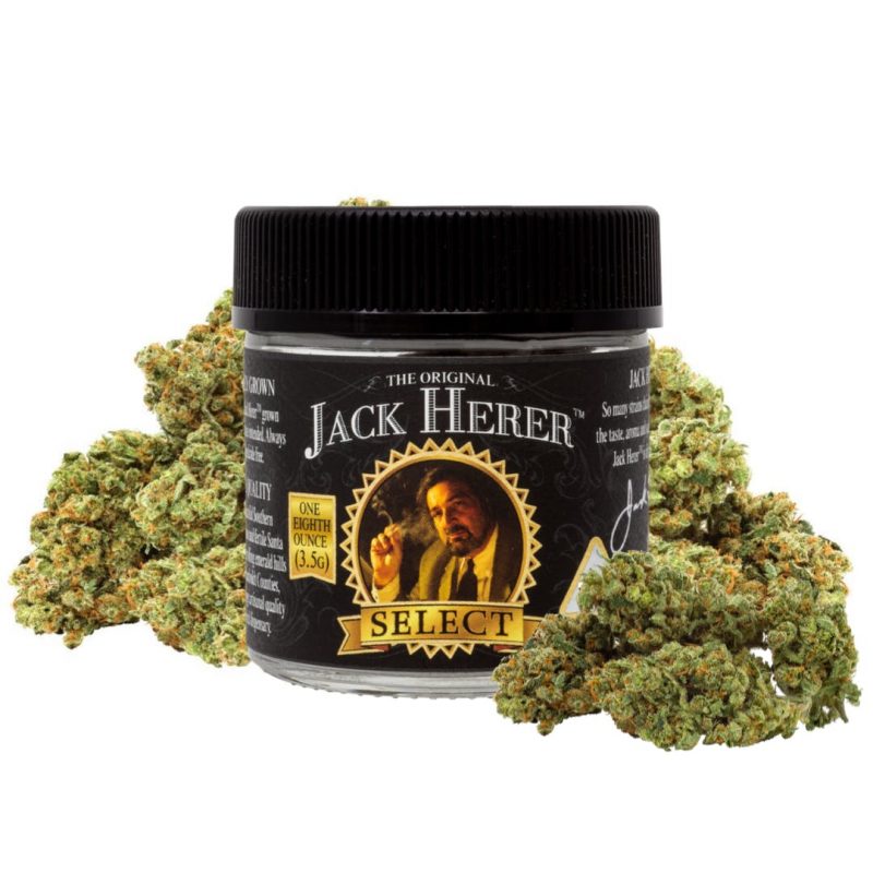 Buy Jack Herer online Albania | Jack Herer For Sale online France | Order Jack Herer online Germany Jack Herer For Sale Online Near Me With Guarantee