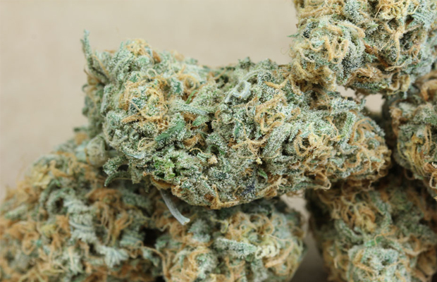 Buy Blue Dream Strain Online Hungary | Order Blue Dream Strain Online Hungary | Blue Dream Strain For Sale Online Hungary With Fast and Guarantee Delivery