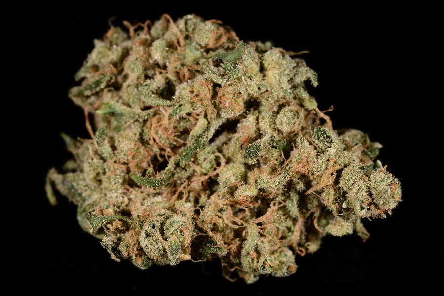 Buy Durban Poison Strain Online Italy | Order Durban Poison Strain Online Italy | Durban Poison Strain For Sale Online Germany, With Discreet Delivery