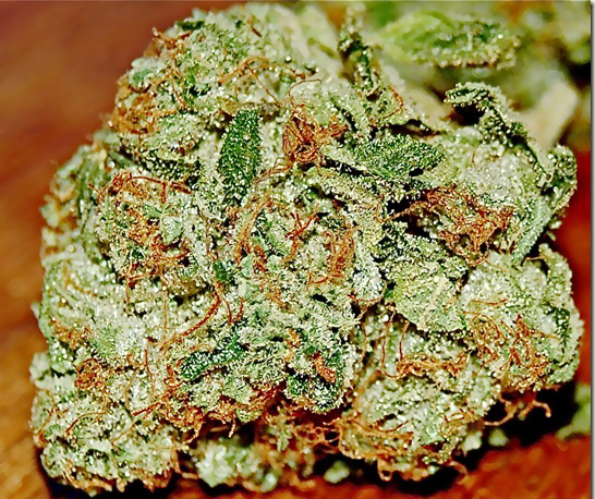 Buy Obama Kush Online Brussels | Order Obama Kush Online Brussels | Obama Kush For Sale Online Hasselt With Fast And Discreet Delivery Guaranteed