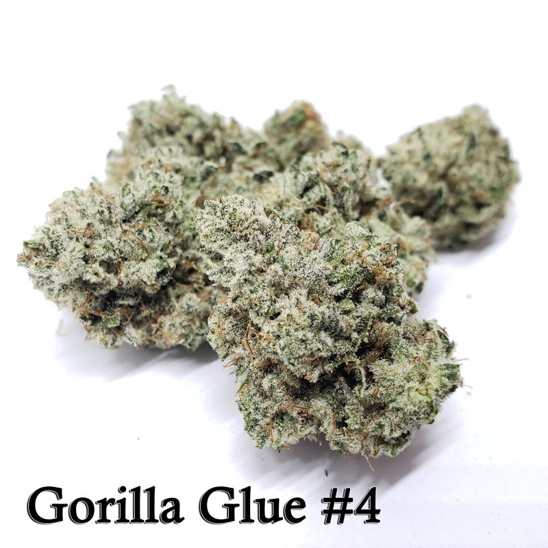 Buy Gorilla Glue #4 Online Maastricht | Order Gorilla Glue #4 Online Maastricht | Gorilla Glue #4 For Sale Online Maastricht With 100% Delivery Guarantee
