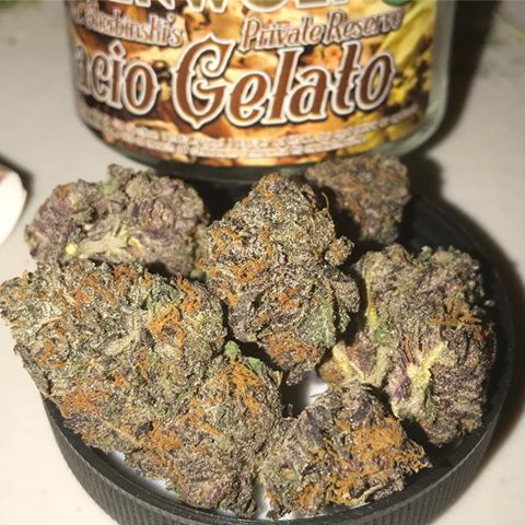 Buy Gelato Strain Online Vlore | Order Gelato Strain Online Vlore | Gelato Strain For Sale Online Vlore With Fast and 100% Discreet Delivery Guarantee