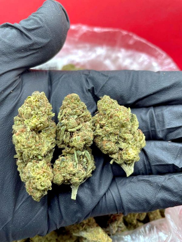 Buy Amnesia Haze Online Budapest | Order Amnesia Haze Online Budapest | Amnesia Haze For Sale Online Budapest With Fast And Discreet Delivery Guarantee