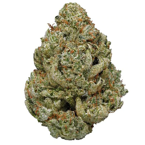 Buy Marijuana Online In Moldova | Order Weed Online Moldova | Where To Buy Marijuana Online In Moldova With 100% Discreet And Guarantee Delivery