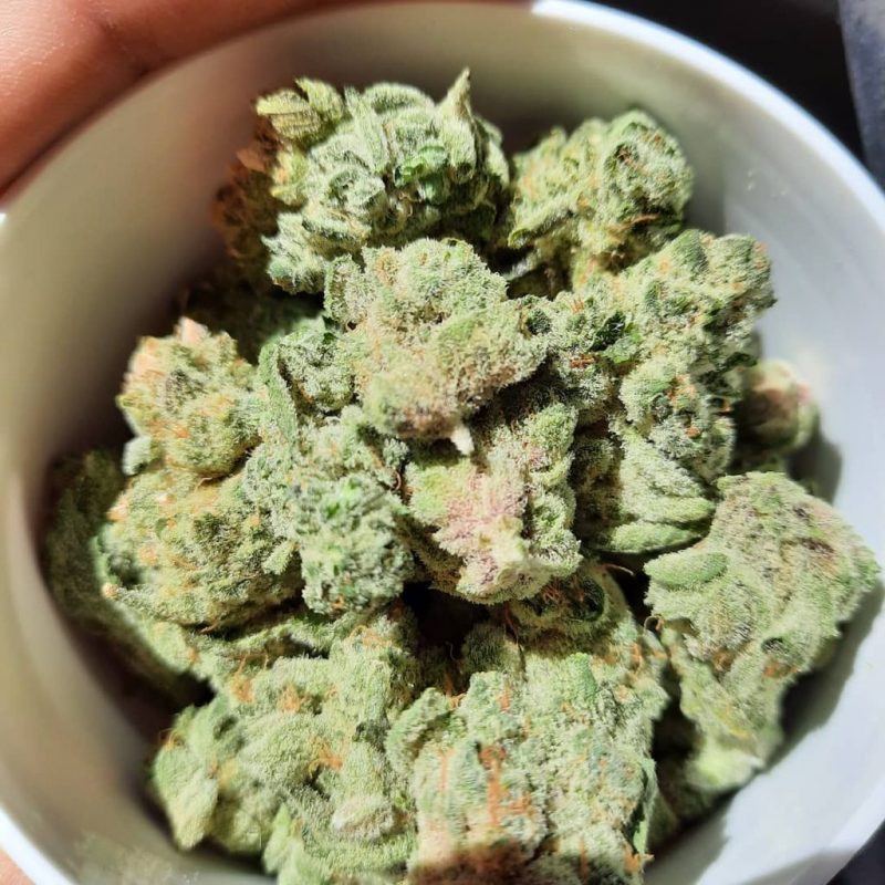 Buy Blue Dream Online In Belgium | Order Blue Dream Online In Belgium | Blue Dream For Sale Online In Belgium With 100% Safe Delivery Guarantee