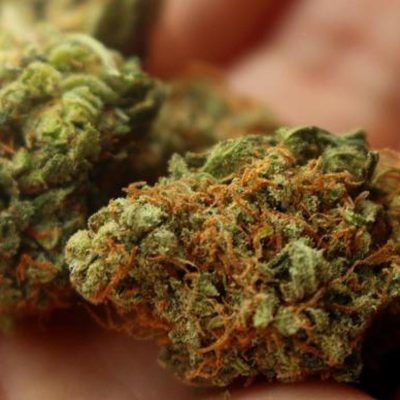 Buy Weed Online In Ljubljana | Order Weed Online In Ljubljana | Weed For Sale Online In Ljubljana With 100% Safe And Discreet Delivery Guarantee